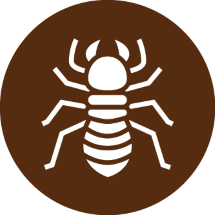 ico-etatparasitaire-9d58e949 Le Diag Rennais